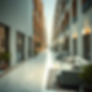Magnificent Comprehensive Guide to 1 BHK Rentals in Dubai Deira Magnificent Comprehensive Guide to 1 BHK Rentals in Dubai Deira