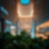 An In-Depth Look at Mirdif City Shops Introduction