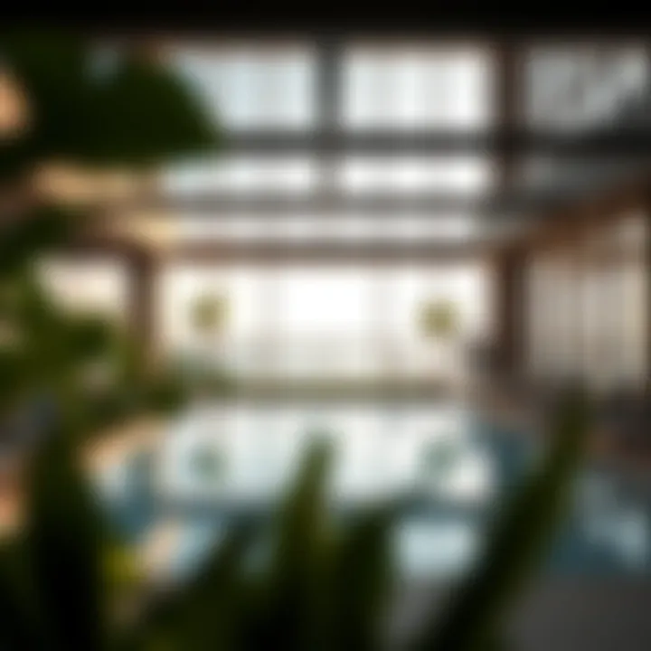 Exceptional Amenities at Barcelo Residence Amenities offered at Barcelo Residence including the pool and gym