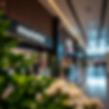 Marketing Strategies for Retailers Strategic marketing techniques employed by retailers