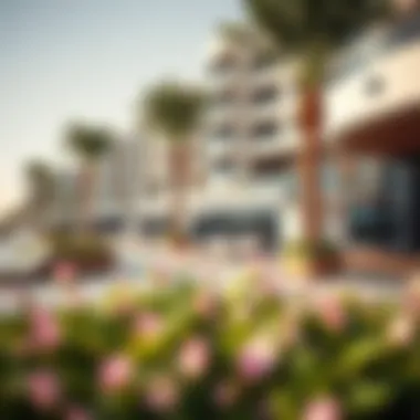 Amenities Enhancing Life at Al Zeina Beach Amenities and facilities available at Al Zeina Beach for residents and visitors