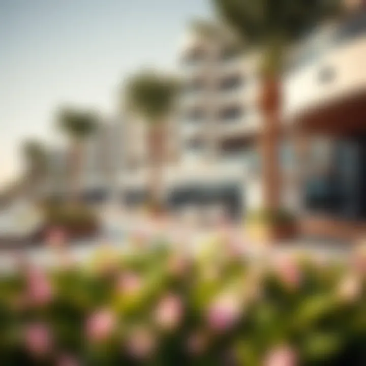 Amenities Enhancing Life at Al Zeina Beach Amenities and facilities available at Al Zeina Beach for residents and visitors
