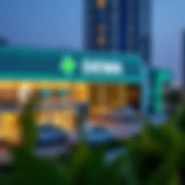 Visual representation of DEWA services overview