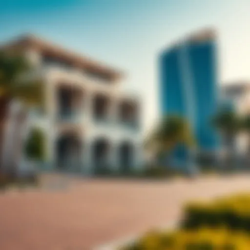 Overview of visa types available in the UAE