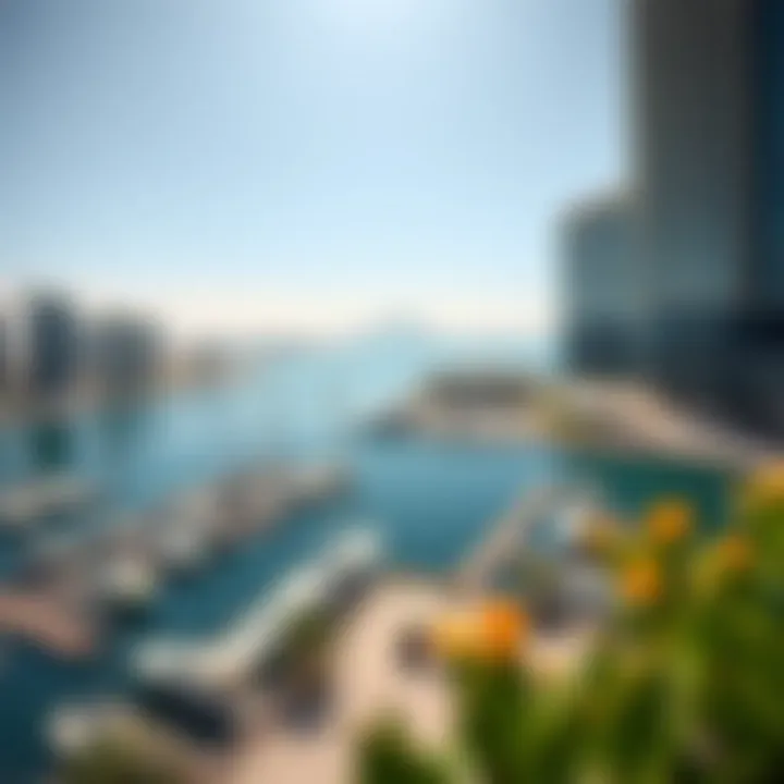 Breathtaking Waterfront Surroundings of Dorra Bay Tower Marina Panoramic view of the waterfront surrounding Dorra Bay Tower Marina.