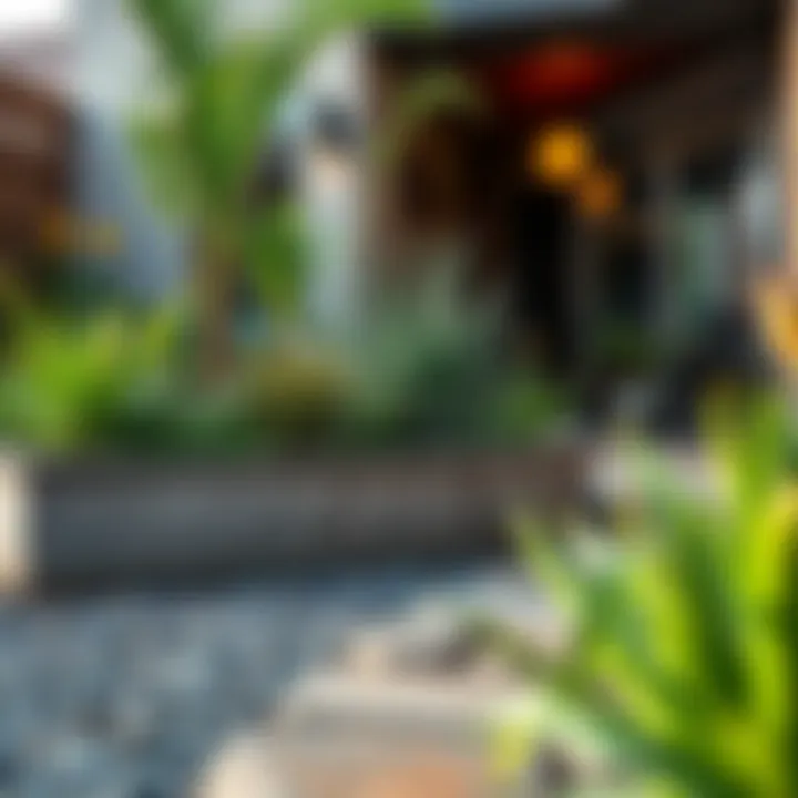 DIY landscaping project with budget-friendly materials