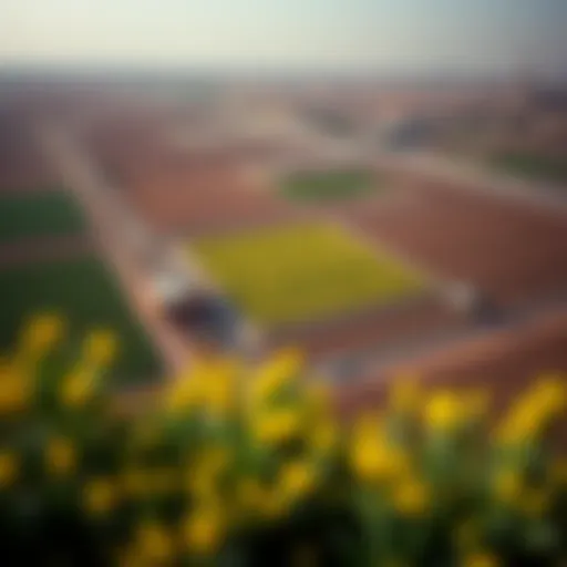 Aerial Perspective of Dubai's Agricultural Landscape Aerial view of agricultural fields in Dubai showcasing diverse crops