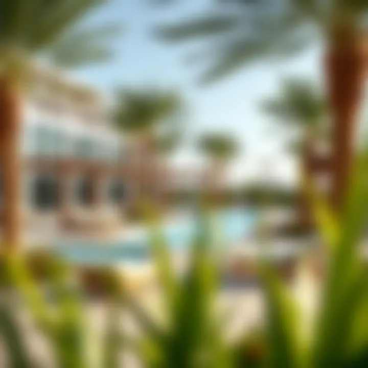 Community amenities that enhance the lifestyle at Akoya Oxygen