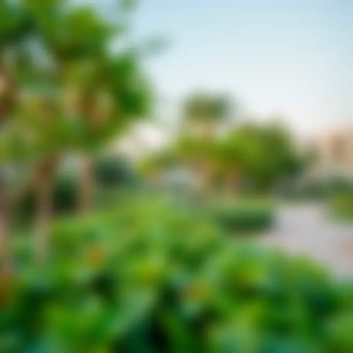 Lush green spaces in Anya community