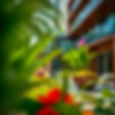 Vibrant surroundings of Damac Maison Prive