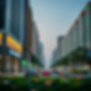 Investment Opportunities on Du Hamdan Street Commercial properties lining Du Hamdan Street highlighting investment potential