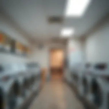 Full-Service Laundry Facility Interior Interior view of a full-service laundry facility