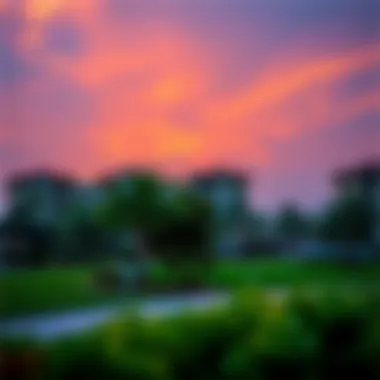 Community Amenities in Jumeirah Village Circle Community amenities in Jumeirah Village Circle, featuring parks and recreational facilities