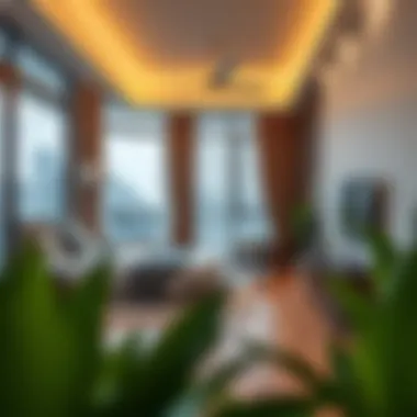 Highlighting affordable rental options for diverse budgets Affordable rental options in Discovery Gardens