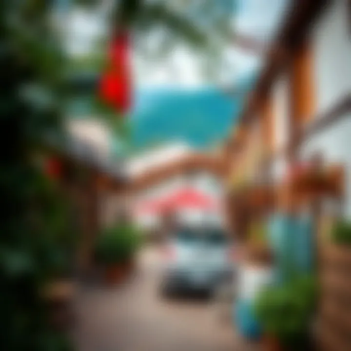 Exploring the vibrant community and local culture Vibrant community of Discovery Gardens