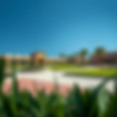 Vibrant community parks and leisure areas in مركز الريم