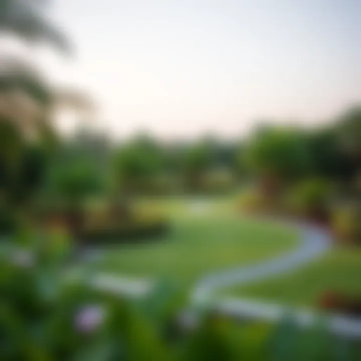 Lush greenery of Nad Al Hamar Park