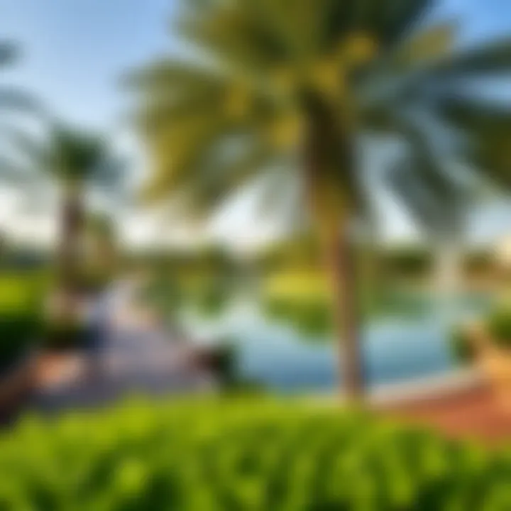 A serene view of Pond Park showcasing lush greenery and tranquil waters
