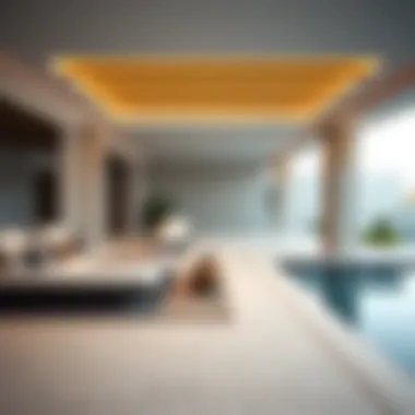 Exploring Private Pool Villas for Daily Rent in the UAE Summary Exploring Private Pool Villas for Daily Rent in the UAE Summary