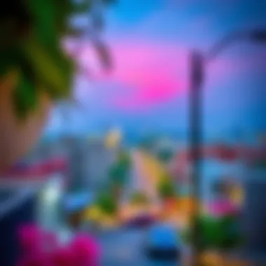 Vibrant neighborhood view in Baniyas