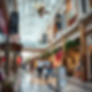 Diverse Shopping Experience at Almanara Center Vibrant shopping scene within the Almanara Center filled with diverse stores