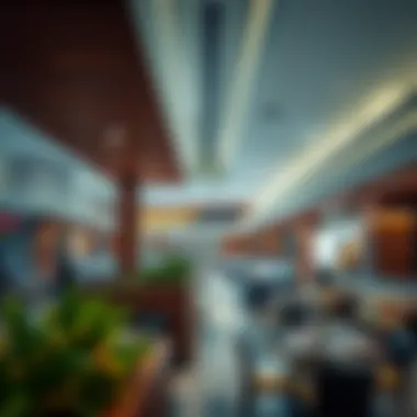 Gourmet dining options available at Jumairah Mall