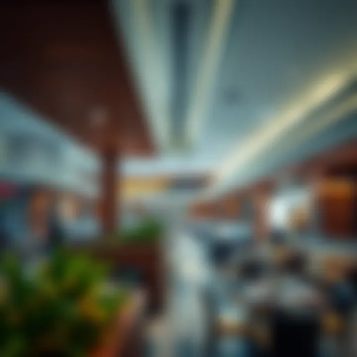 Gourmet dining options available at Jumairah Mall