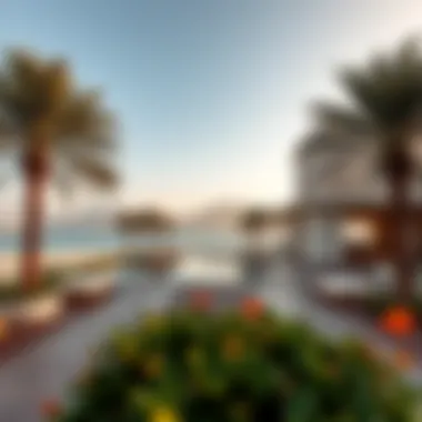 Exploring the Essence of Viva Raha Beach: A Comprehensive Guide Summary Exploring the Essence of Viva Raha Beach: A Comprehensive Guide Summary