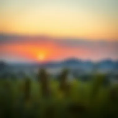 Dubai Desert Conservation: Nature's Embrace The serene landscapes of the Dubai Desert Conservation Reserve at sunset.