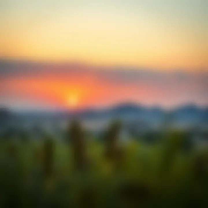 Dubai Desert Conservation: Nature's Embrace The serene landscapes of the Dubai Desert Conservation Reserve at sunset.