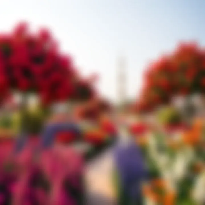 Dubai Miracle Garden: A Floral Paradise The tranquil beauty of the Dubai Miracle Garden showcasing vibrant flowers.