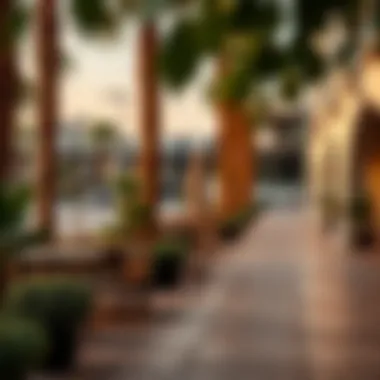 Local Amenities in Wasl South Heights Local amenities that enhance lifestyle in Wasl South Heights.