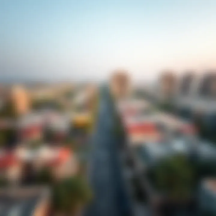 Diverse Neighborhoods in Sheikh Zayed Aerial view of the diverse neighborhoods in Sheikh Zayed