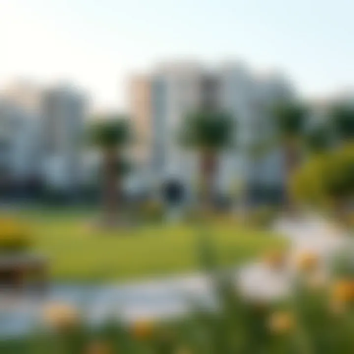 A vibrant community park in a residential neighborhood of Dubai