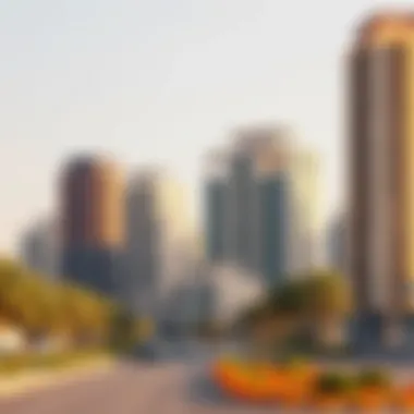 A visual representation of emerging neighborhoods in Dubai ripe for investment.