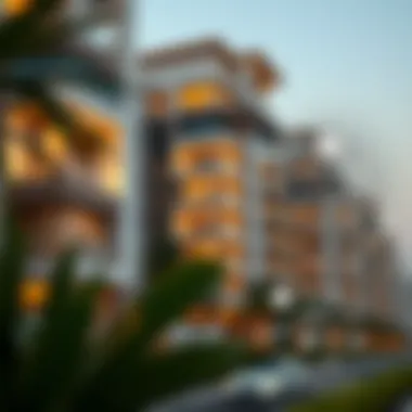 Benefits of the Makani Number in Real Estate Transactions Infographic detailing the benefits of the Makani number