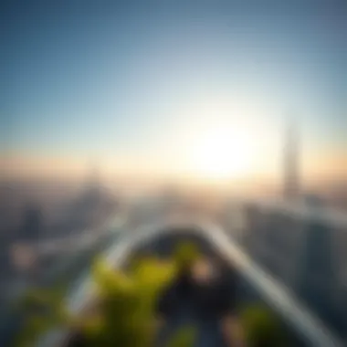 Panoramic view from the rooftop terrace overlooking Dubai