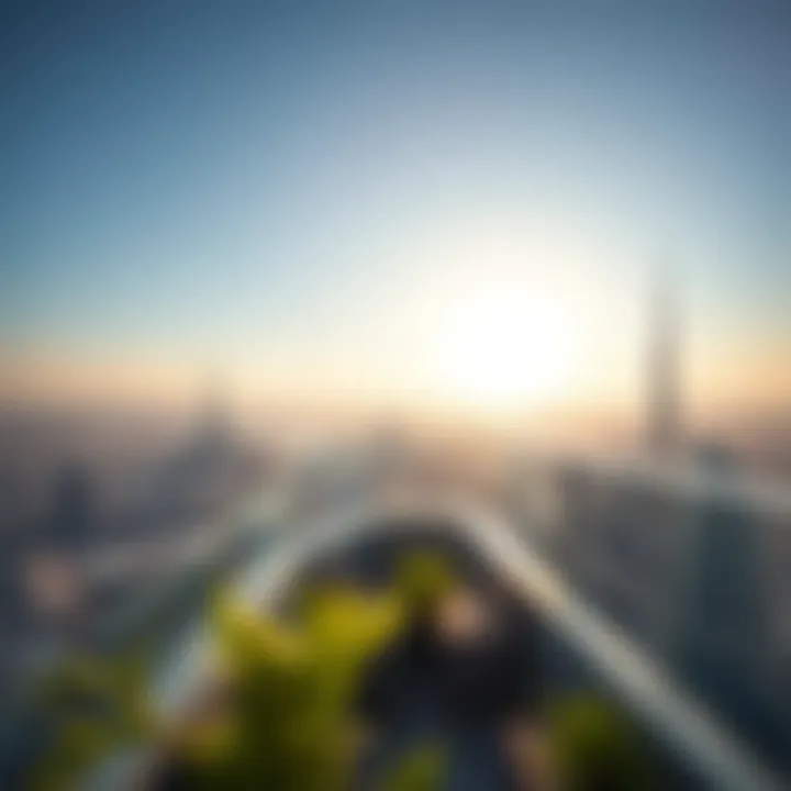 Panoramic view from the rooftop terrace overlooking Dubai