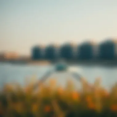 Real Estate Developments Around Mubazzarah Lake Real estate developments near Mubazzarah Lake