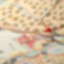 Detailed map highlighting land numbers in Dubai