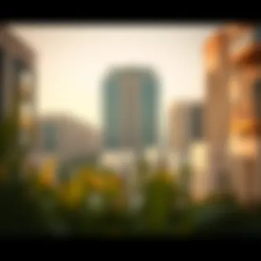 Navigating the Landscape of Paying Guests in Dubai Introduction Navigating the Landscape of Paying Guests in Dubai Introduction