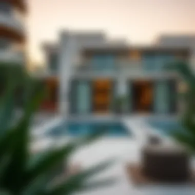 Navigating the Landscape of Paying Guests in Dubai Summary
