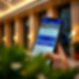 UAE visa information displayed on a smartphone screen