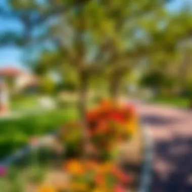 Vibrant Community Parks in Spring Meadows Community parks and recreational areas in Spring Meadows promoting outdoor activities