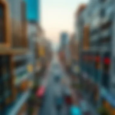 Aerial view of Sultan Bin Zayed The First Street showcasing its bustling activity