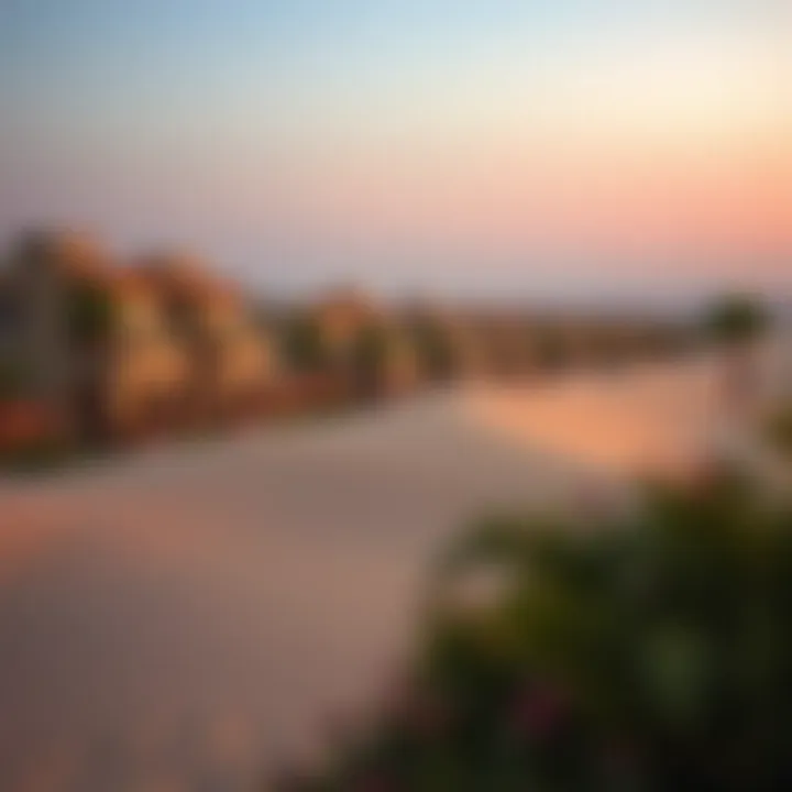 Infographic illustrating investment opportunities in dune properties