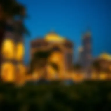 How to Check Your Visa Status in the UAE Checking visa status online