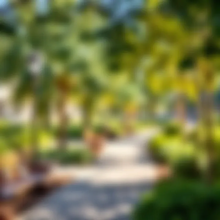 Family-Friendly Park in Villanova Family-friendly park in Villanova designed for community engagement.